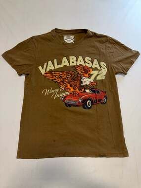 Valabasas Firebird Vintage Khaki Graphic T-Shirt Worn to Inspire